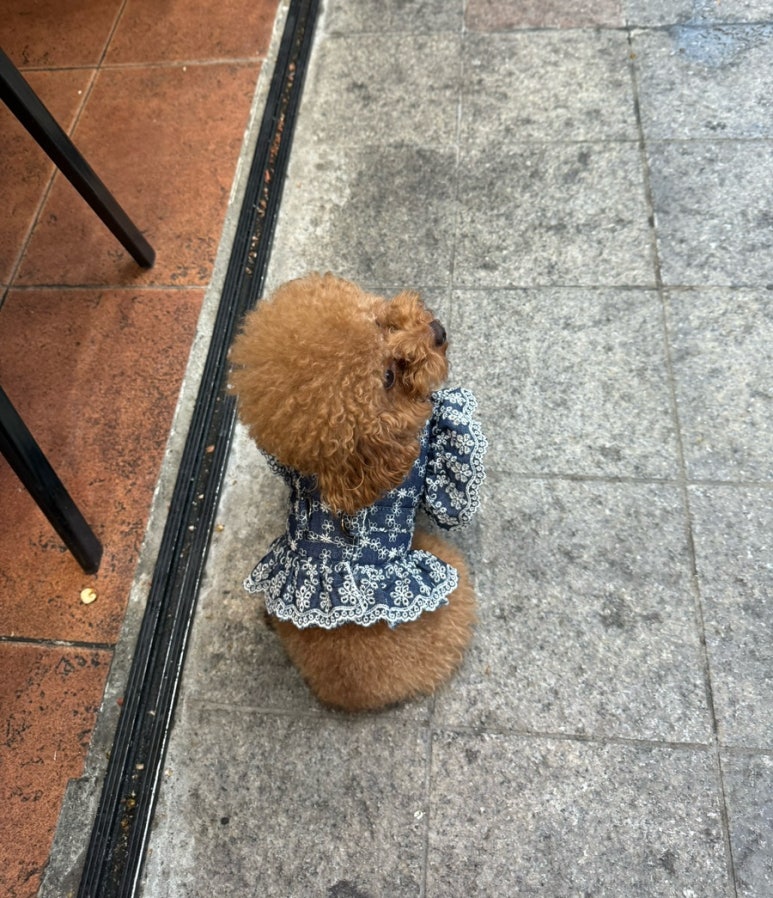 한마당치킨호프 이미지