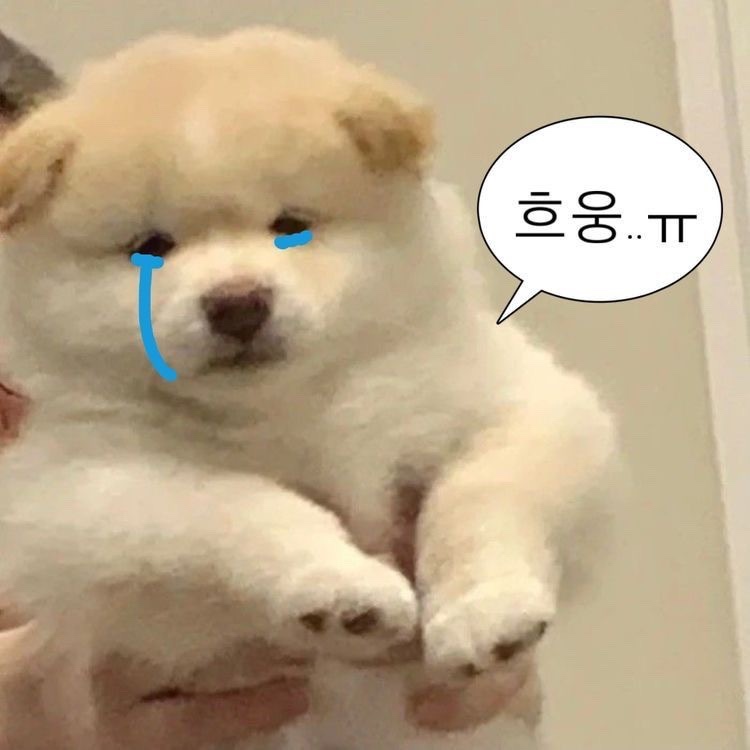 케이에이 이미지