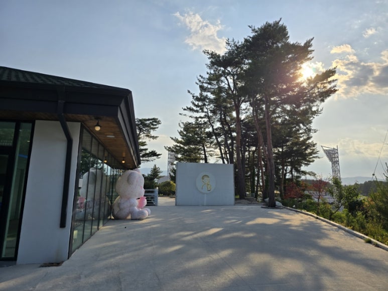 디저트39강릉 이미지