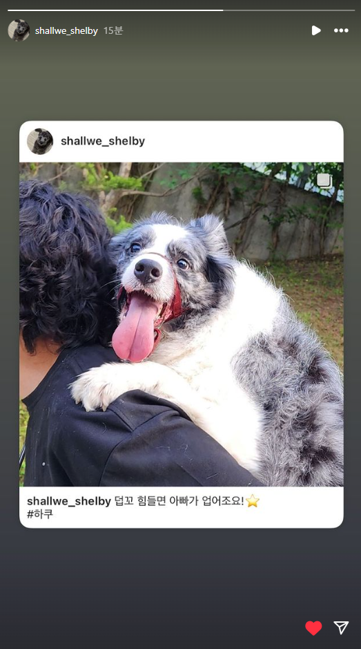 하쿠하쿠 이미지