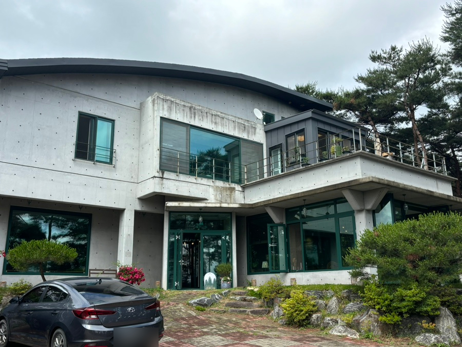 금베이숲 이미지