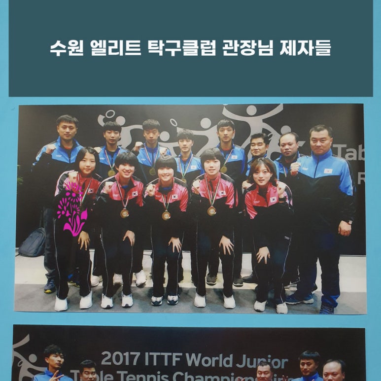 엘리트탁구클럽 이미지