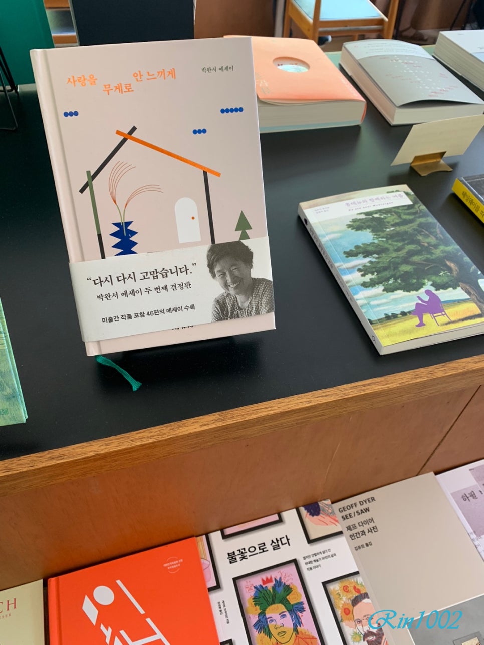 라비브 이미지