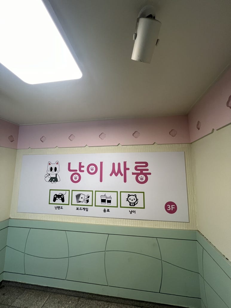 냥이싸롱 이미지