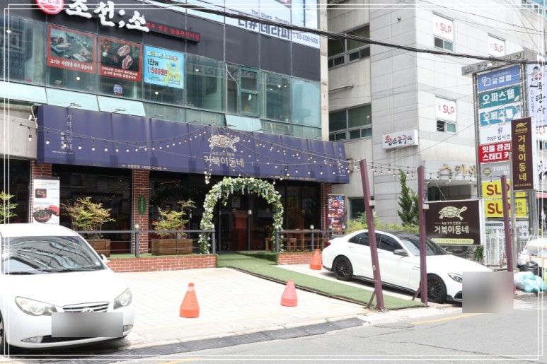 거북이동네창원 이미지