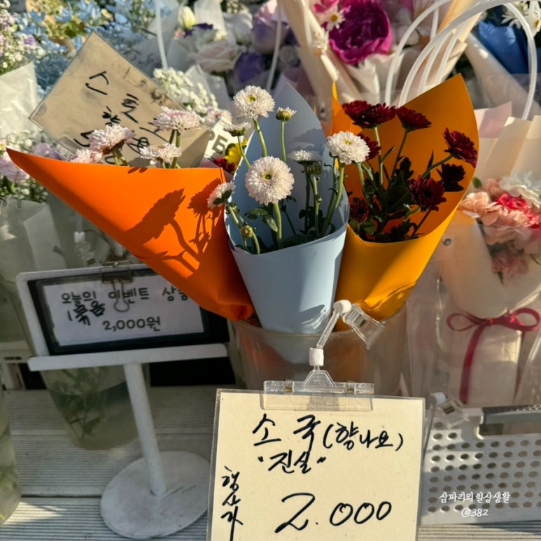 진선미현수막 이미지
