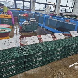 맛수러움 이미지