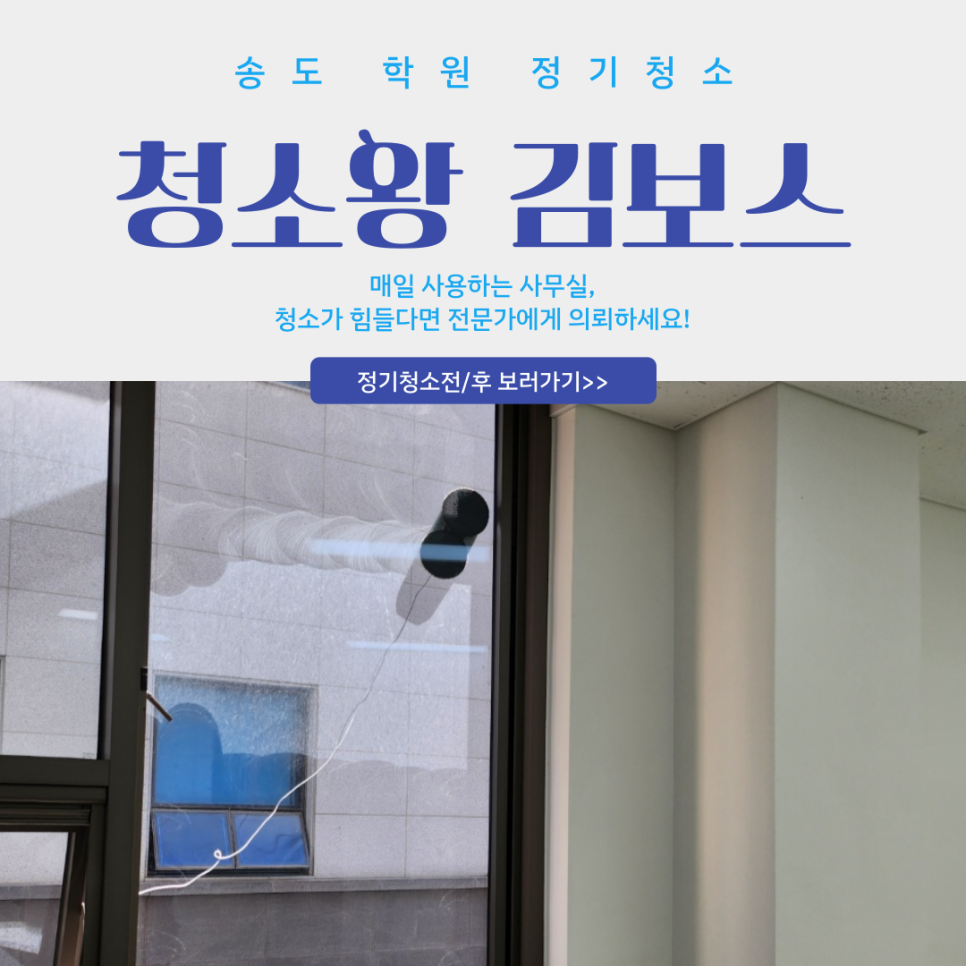 청소왕김보스 이미지