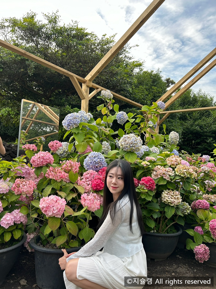 예쁜약손샵 이미지