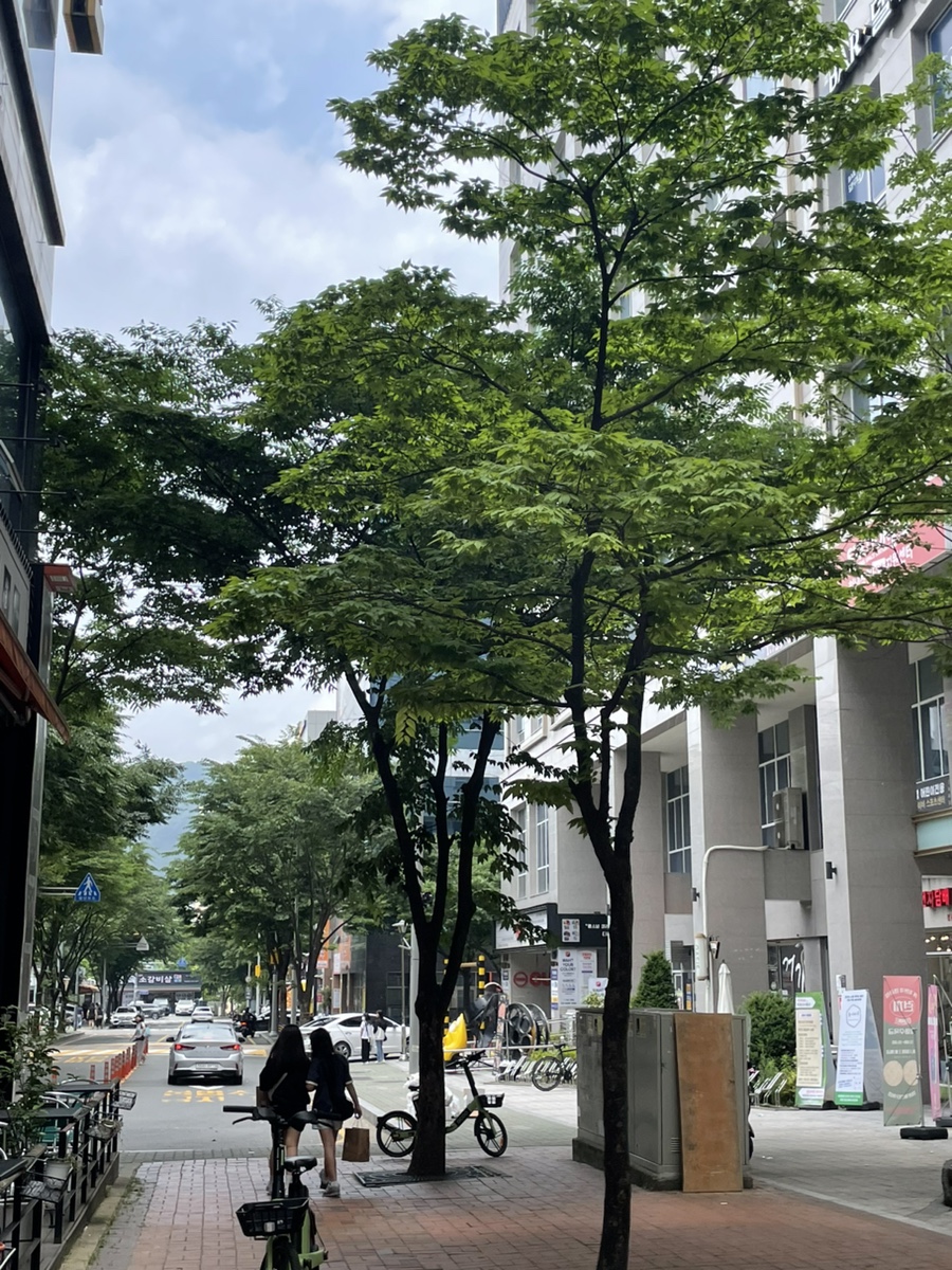 다복향 마라탕 정관점 이미지