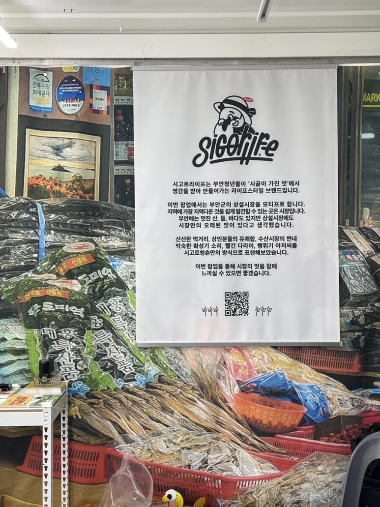 시고르청춘 이미지