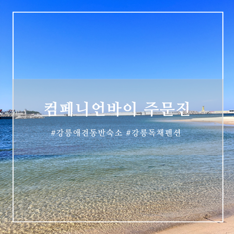 컴페니언바이주문진 이미지