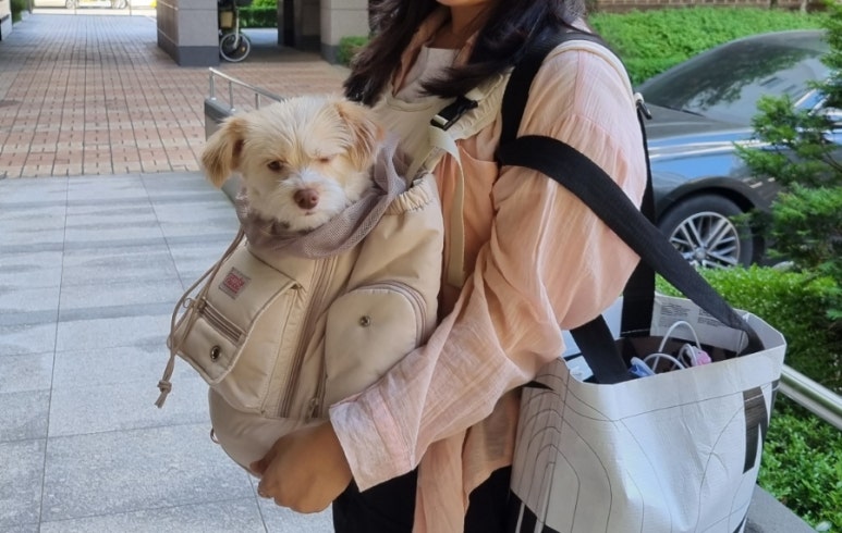 텐마일 이미지