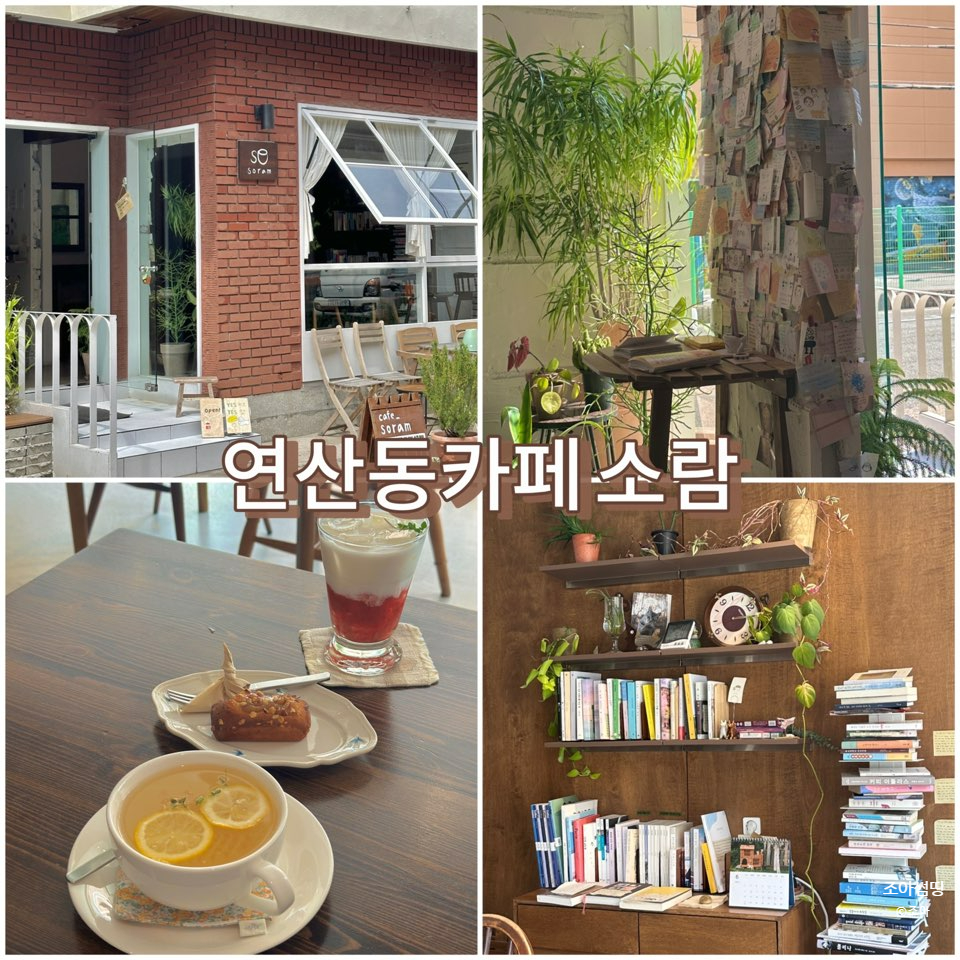 카페 소람 이미지