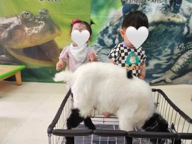 꿈모아어린이집 이미지