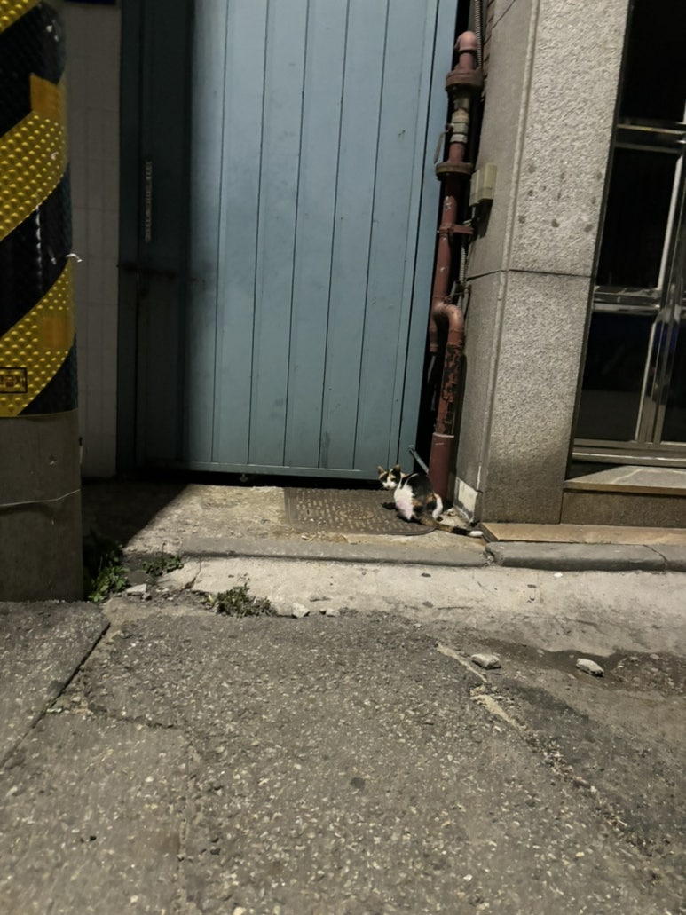 스낵 Snacc 이미지
