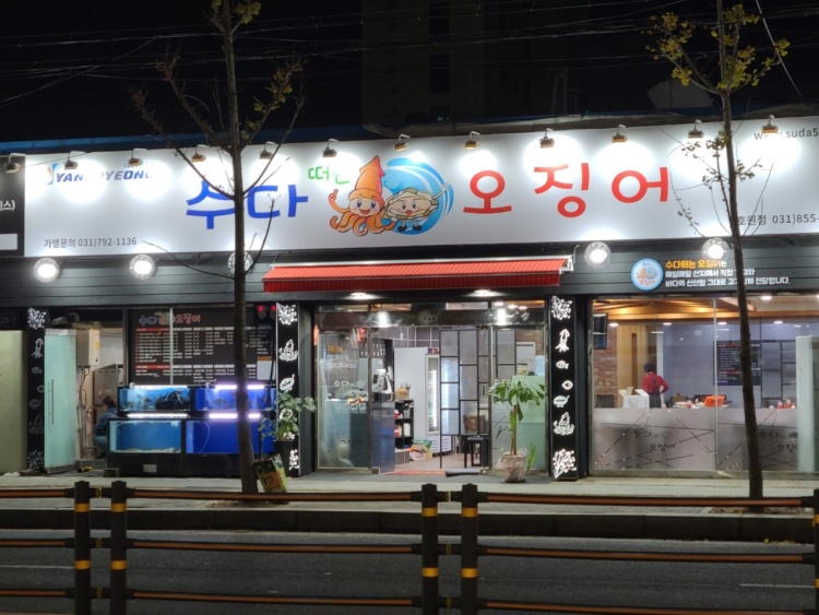 수다떠는오징어 이미지