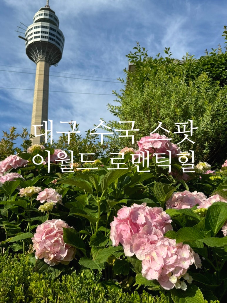 로맨틱힐 이미지
