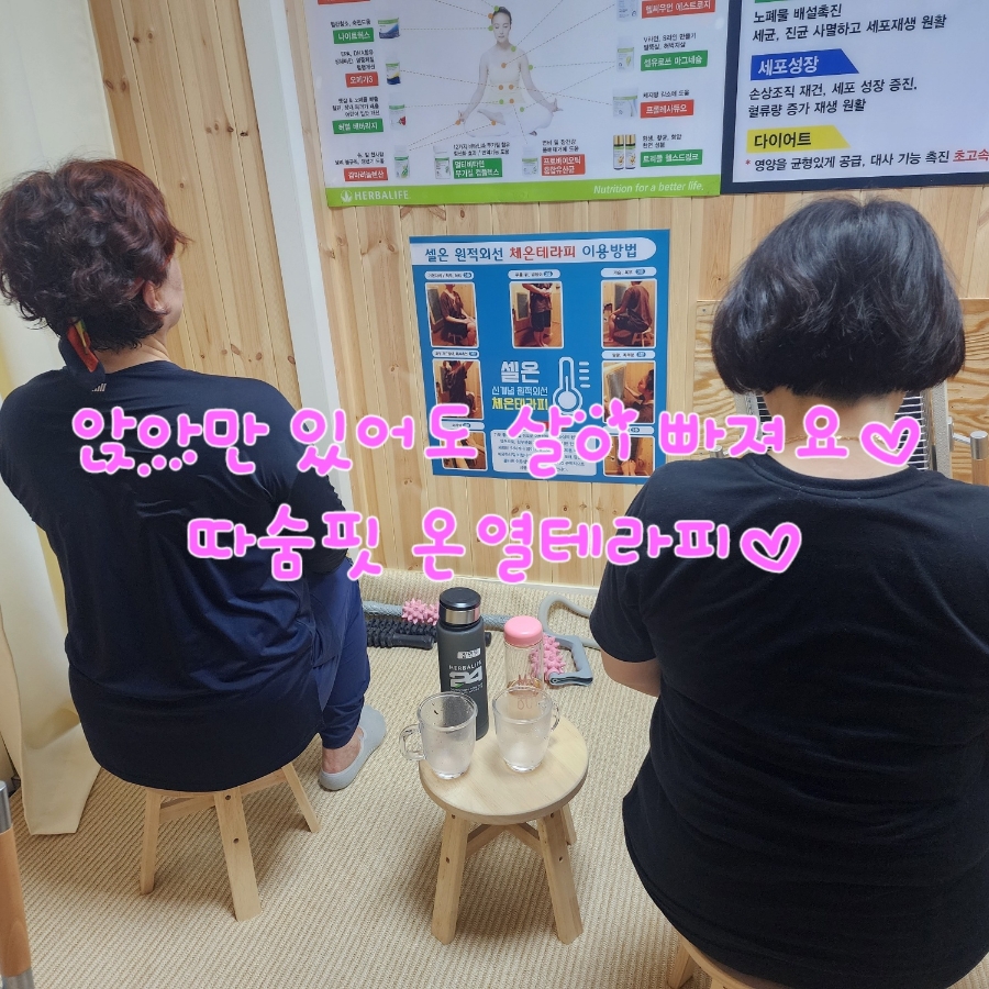 따숨다이어트 이미지