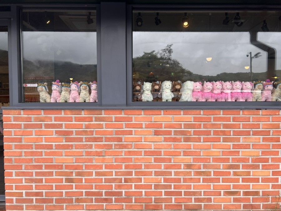우비Art 이미지