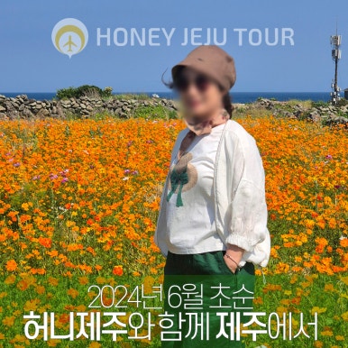 제주다정여행사 이미지