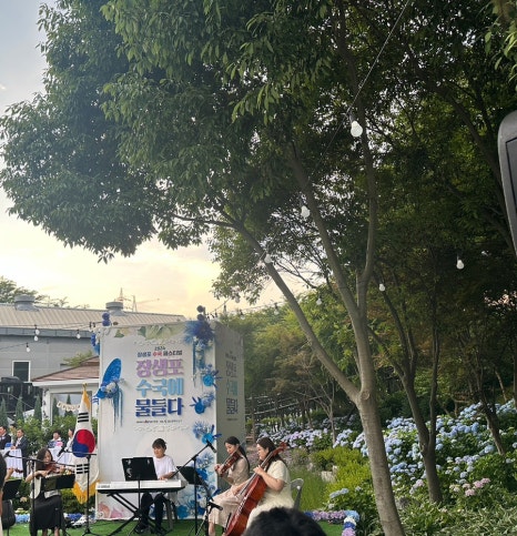오색이음 이미지