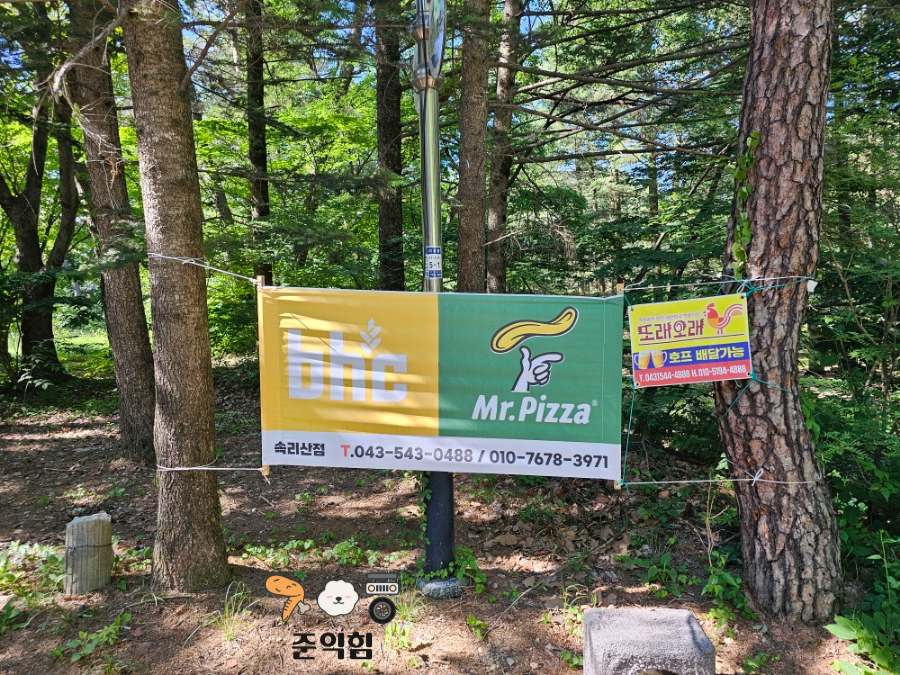 bhc치킨 속리산점 이미지