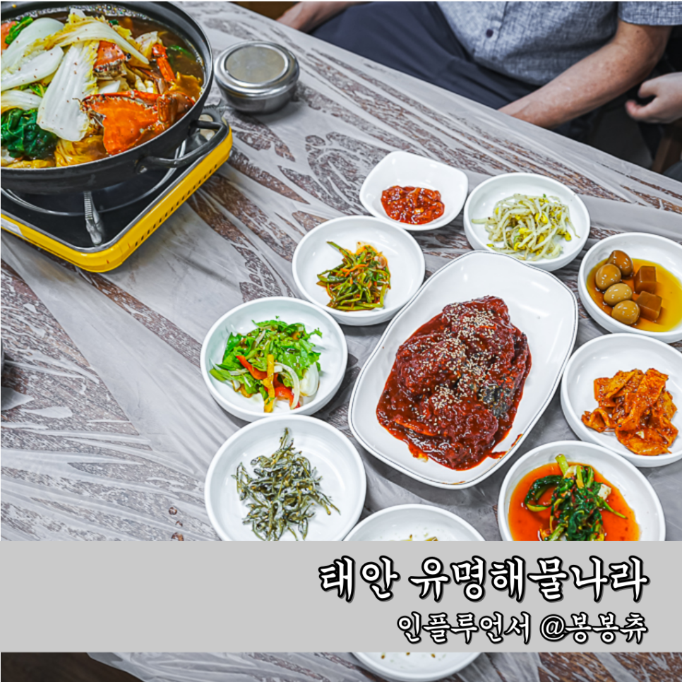 신해물나라 이미지