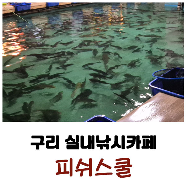 피쉬스쿨 이미지