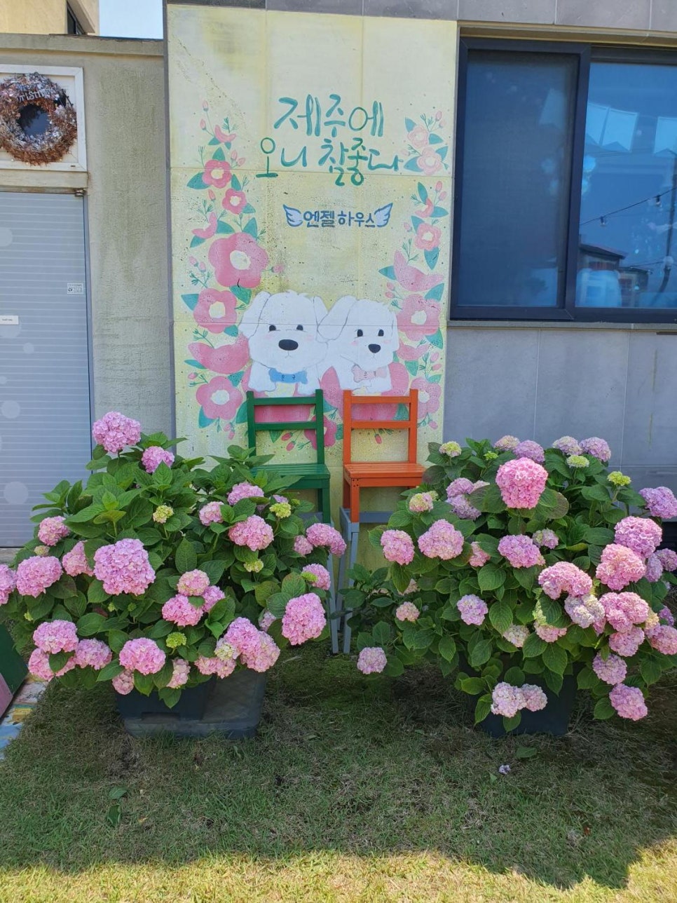 엔젤하우스 이미지