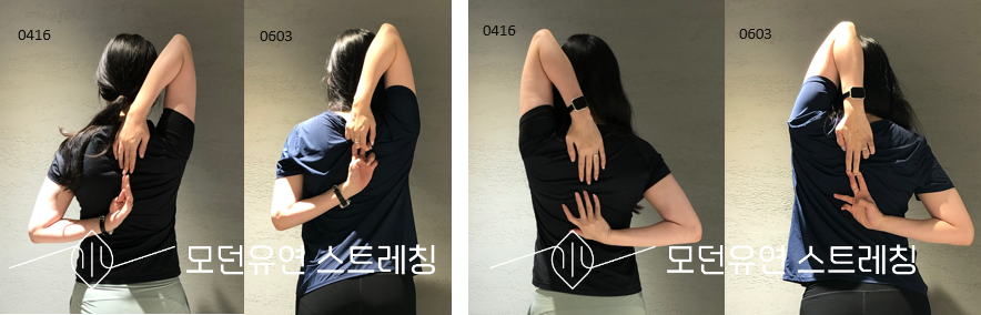 모던유연스트레칭 이미지