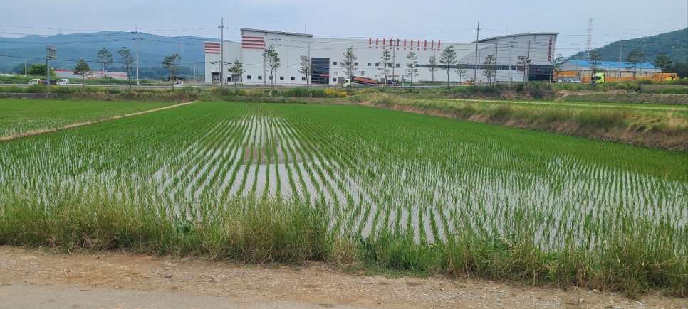 남고창IC 이미지