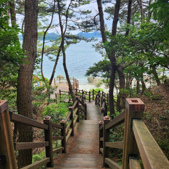 바다숲 풀내음 이미지