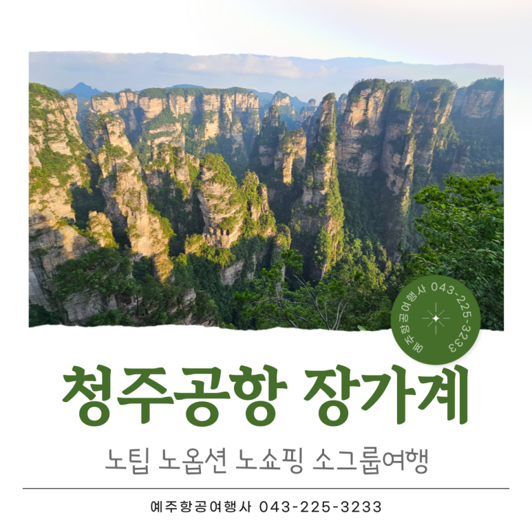 예주항공여행사 이미지