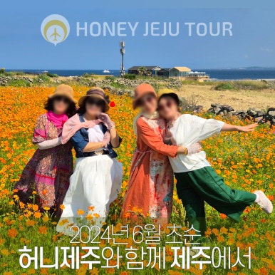 제주다정여행사 이미지