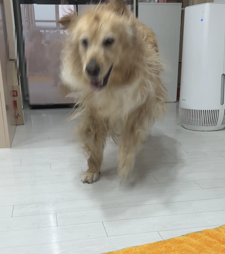 마왕족발 이미지