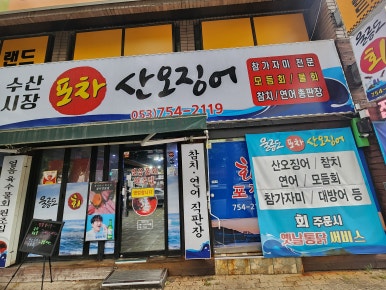 울릉도회산오징어 이미지