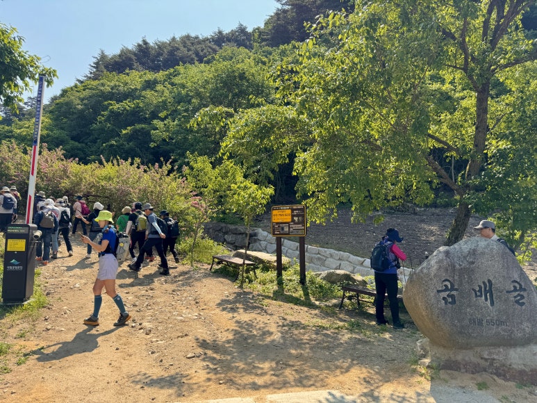 승우여행사 이미지