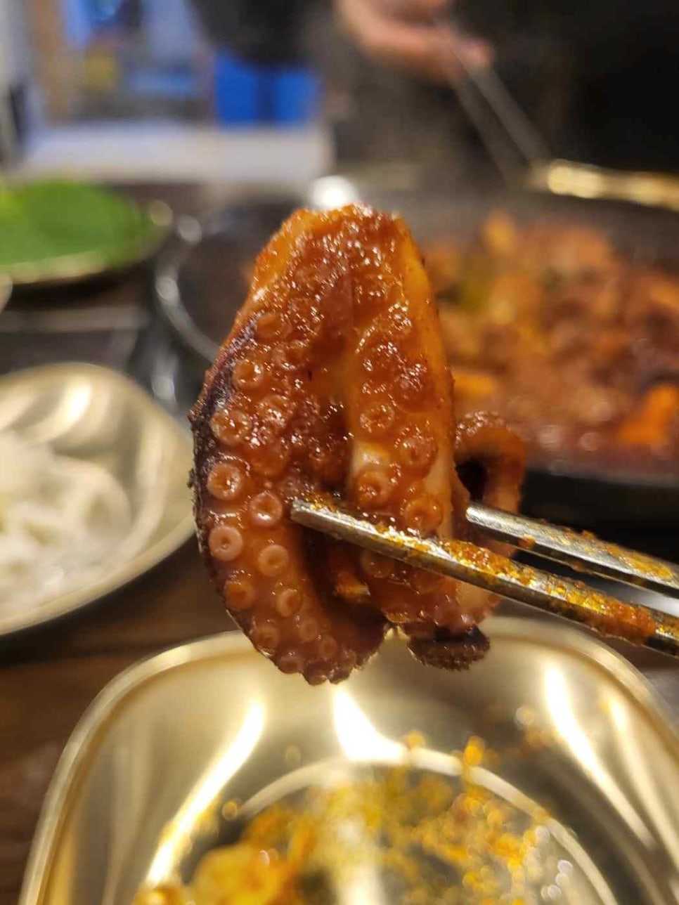쭈꾸미집 이미지