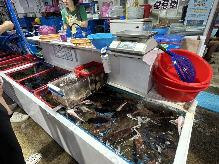 미미회식당 이미지