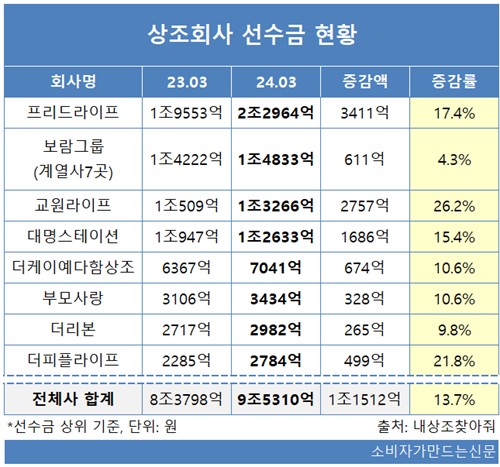 보람상조애니콜 이미지