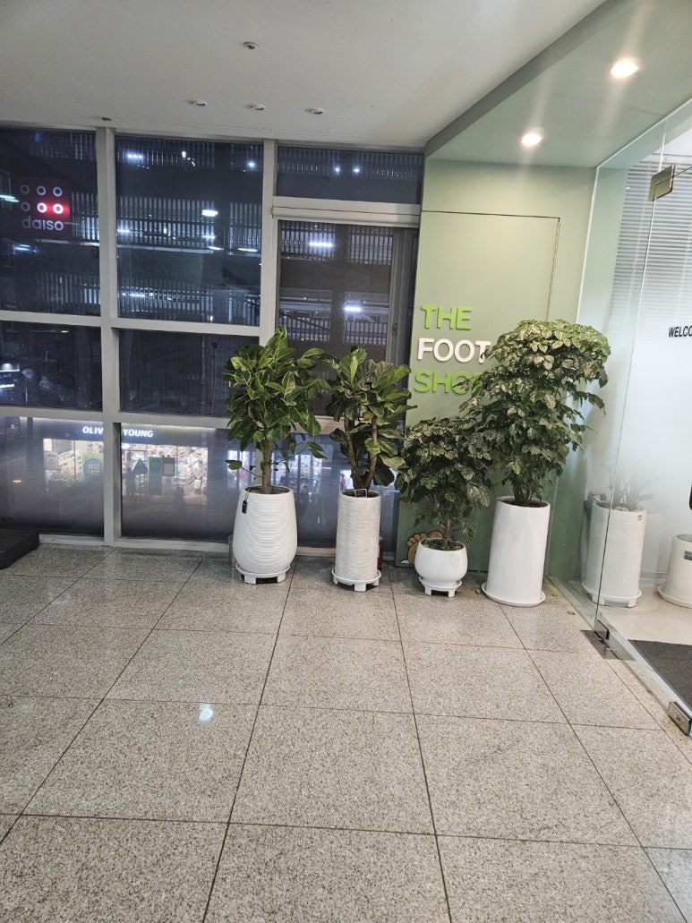 더풋샵세곡점 이미지