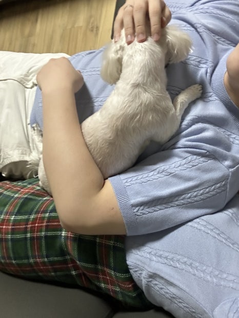 태인치킨 이미지
