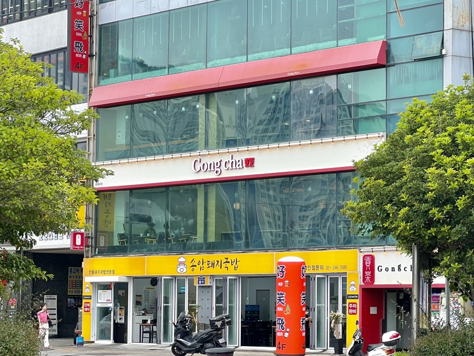 공차 부산송도점 이미지