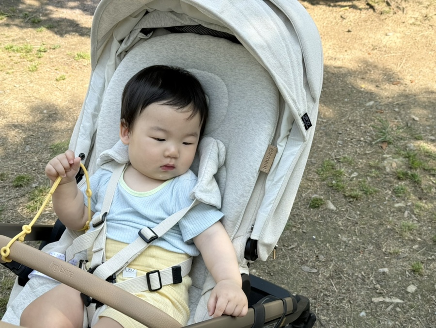 내츄럴엘리먼트 이미지