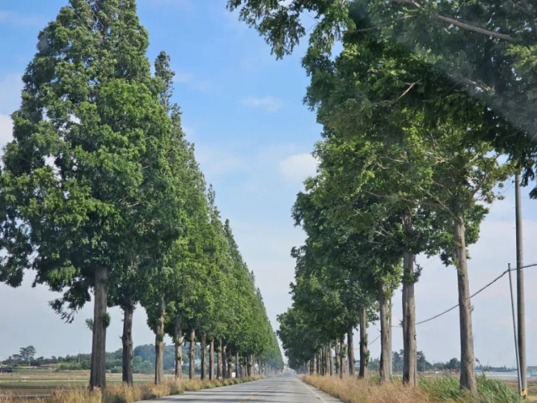 하이바틀 이미지