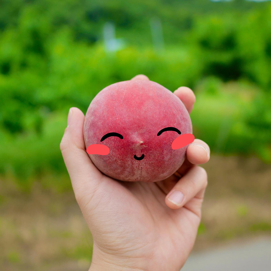 도도농장 이미지