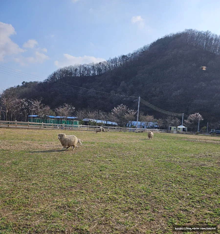 공주제이제이오토캠핑장 이미지