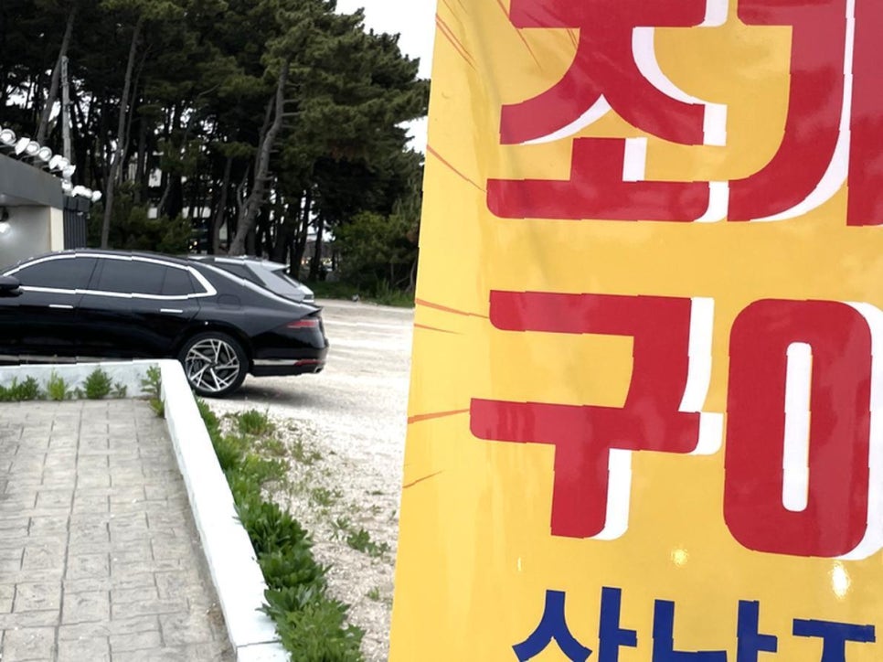 바다드림 이미지