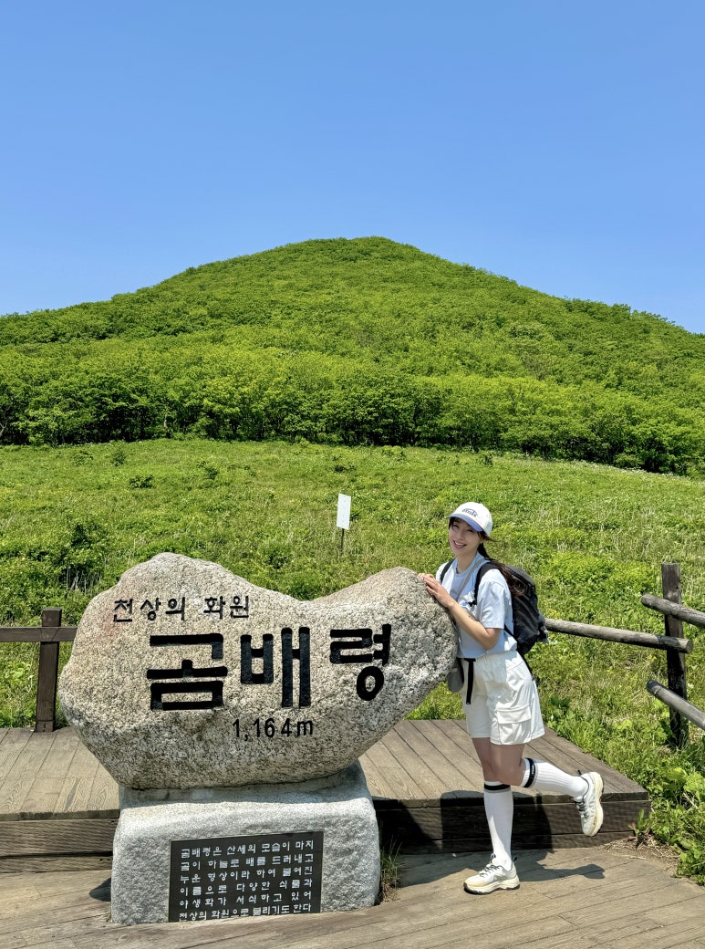 승우여행사 이미지